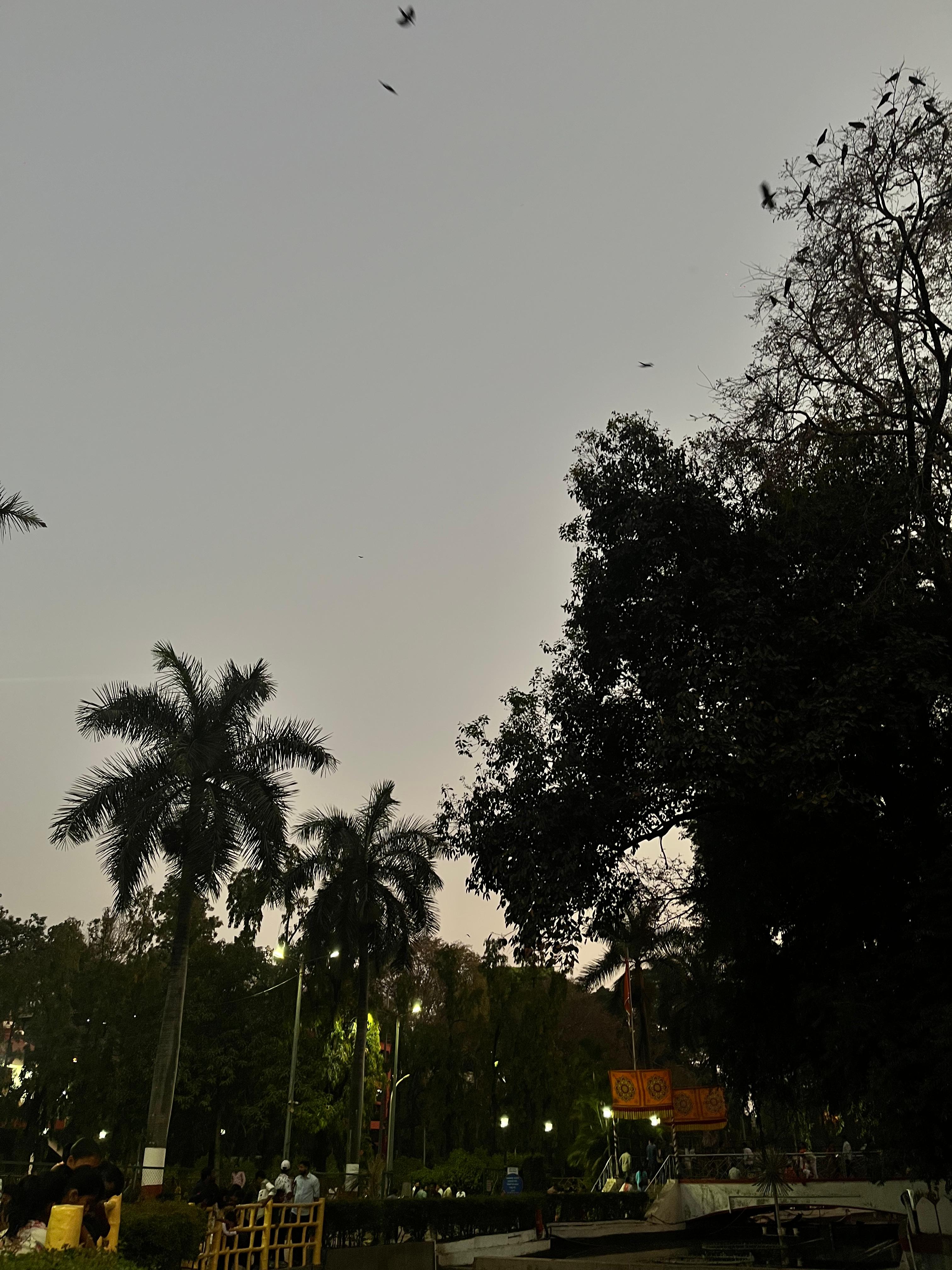 Photography 2